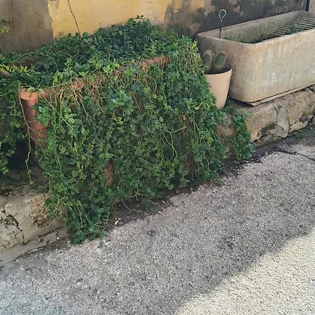 U Putticatu * Augusta