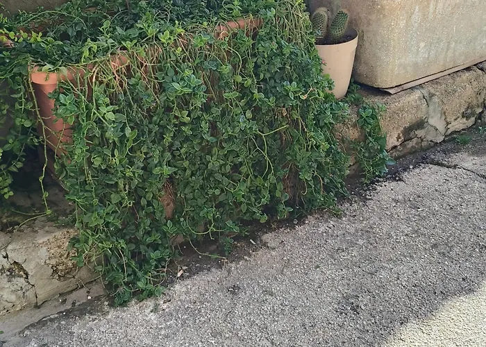 U Putticatu * Augusta